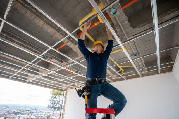 Best Plumbing Inspection Services  in Chipley, FL