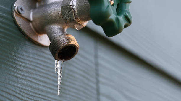 Best Plumbing Repair Near Me  in Chipley, FL